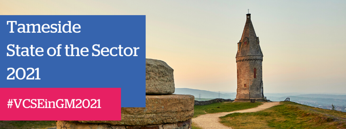 Tameside State of the Sector banner image