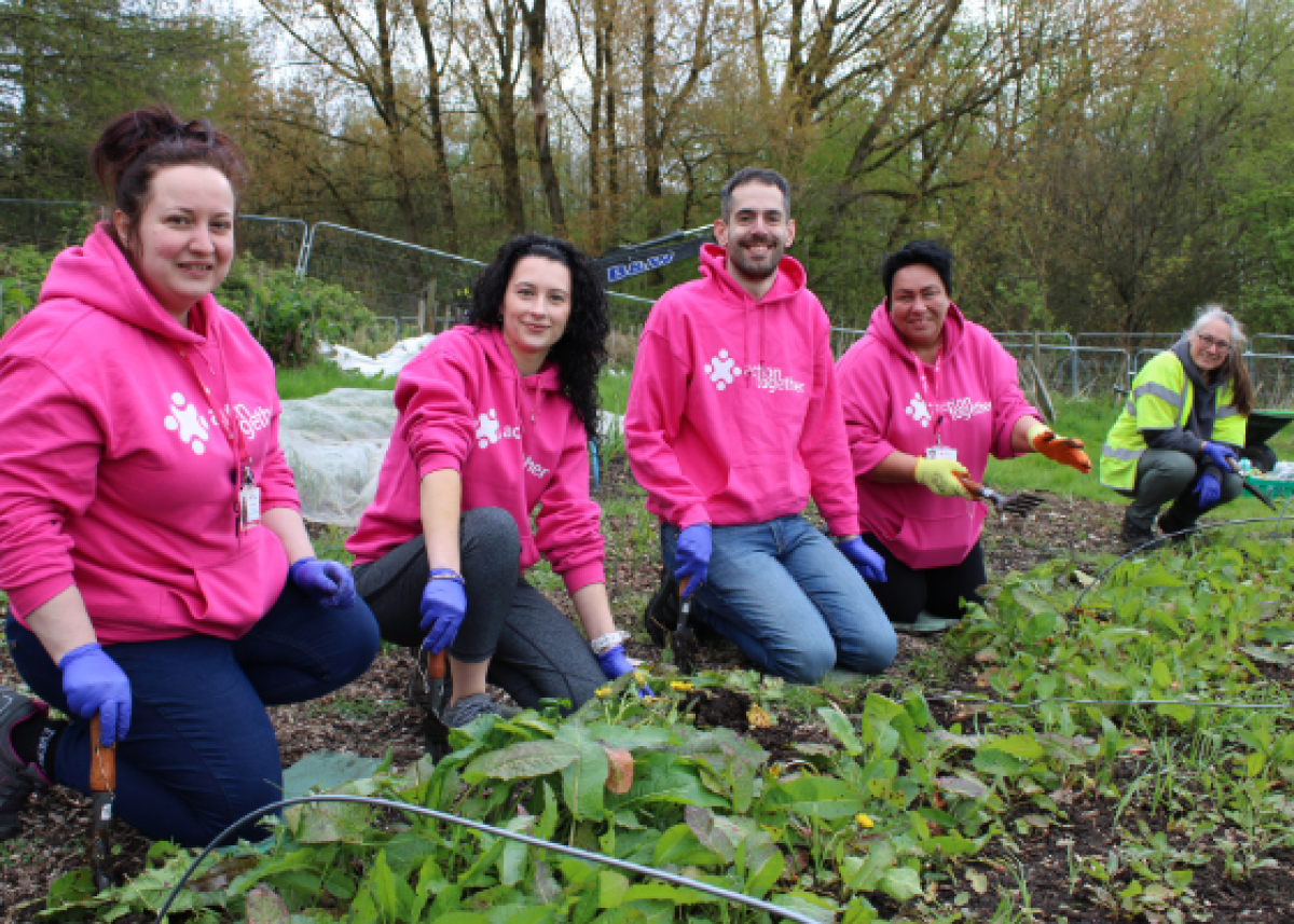 group of people knelt working in community garden wearing bright pink hoodies