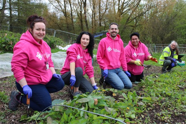 Group of people in pink jumpers gardening