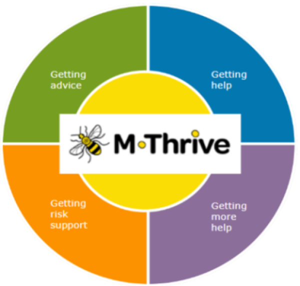 iTHRIVE model