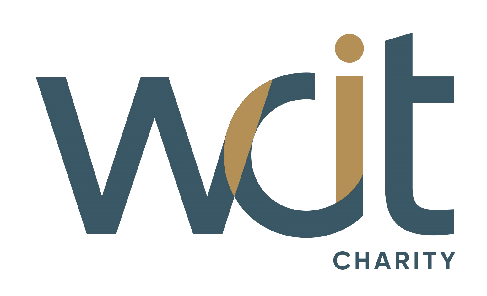 Logo WCIT Charity